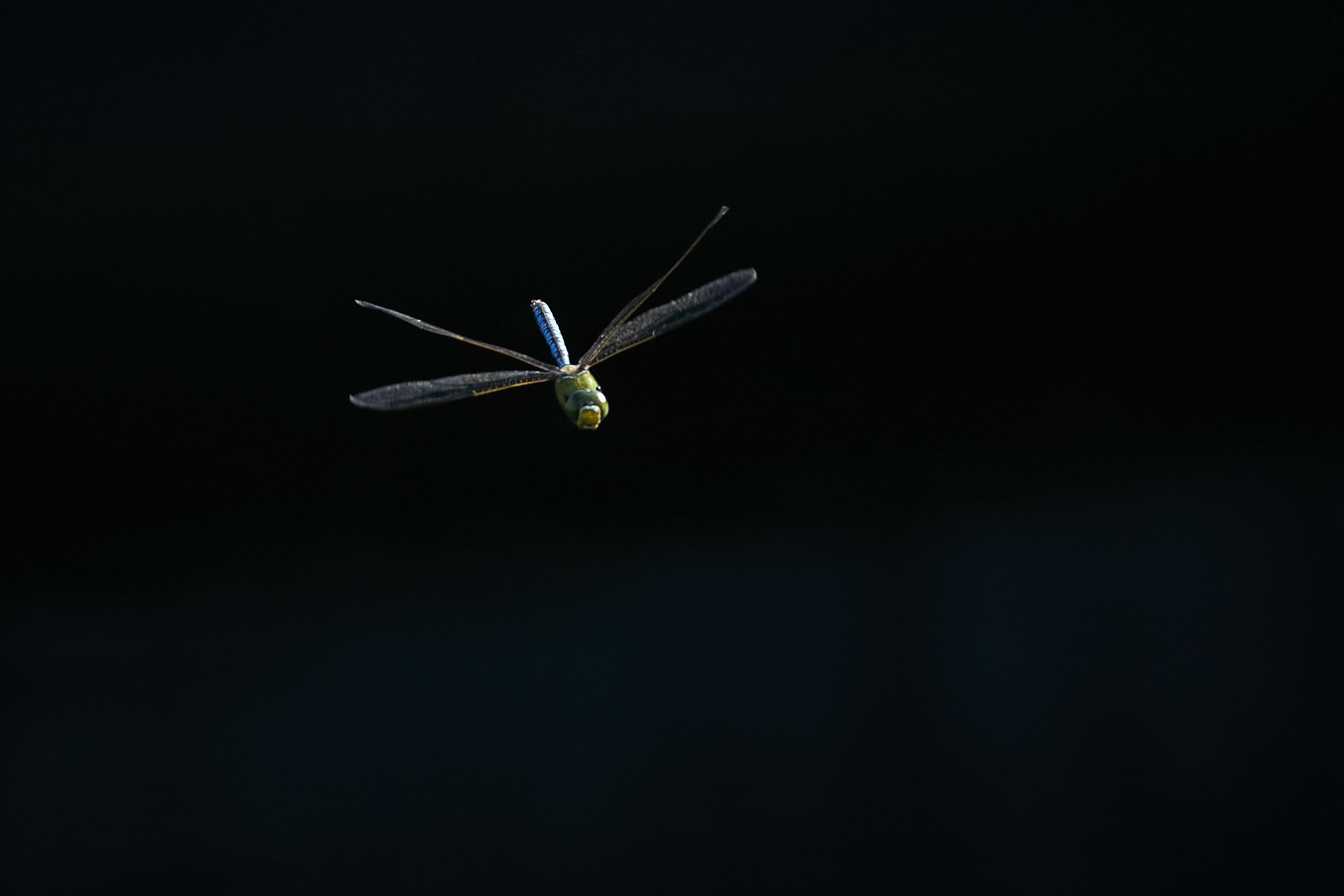 Landschaftspark Nord 0401